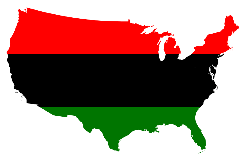 Black America Flag map